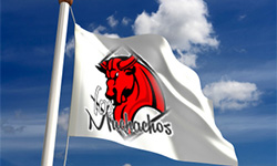 1. liga: Los Muchachos - FC Wentyle, oficjalny komunikat walkowerowy.